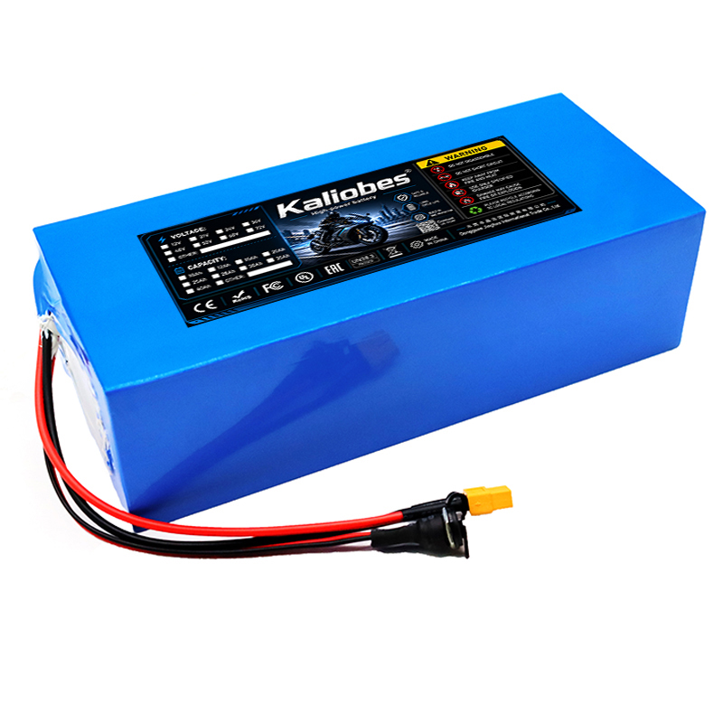 Batteria agli ioni di litio 21 - 60V 50Ah Electric Scooter Battery recensione e prezzo